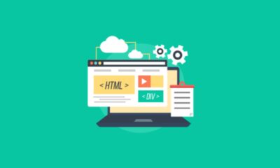 Developing Website for Business? Hire Professional Web Developers